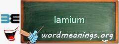 WordMeaning blackboard for lamium